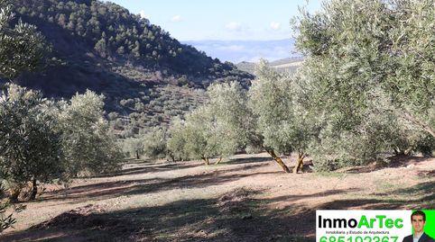 Immagine 3 dell'annuncio
