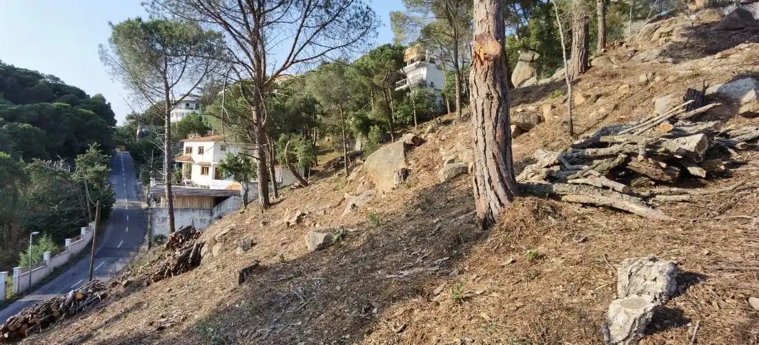Terrenos y solares en venta en Roca Grossa, imagen 17