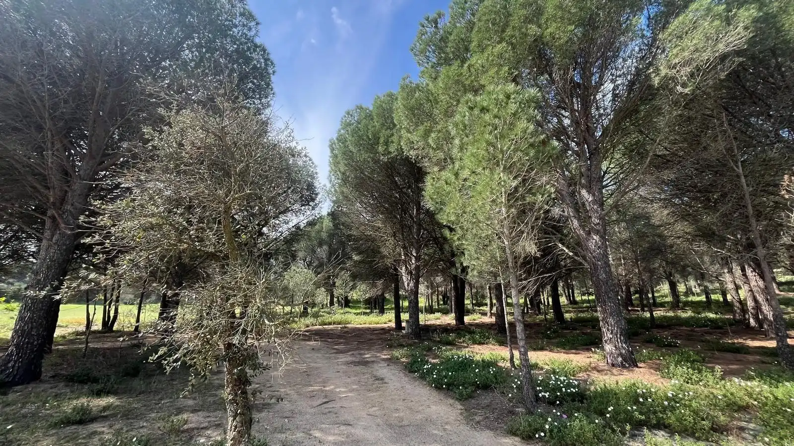 Terreny rústic en venda a Sant Climent Sescebes, imagen 7