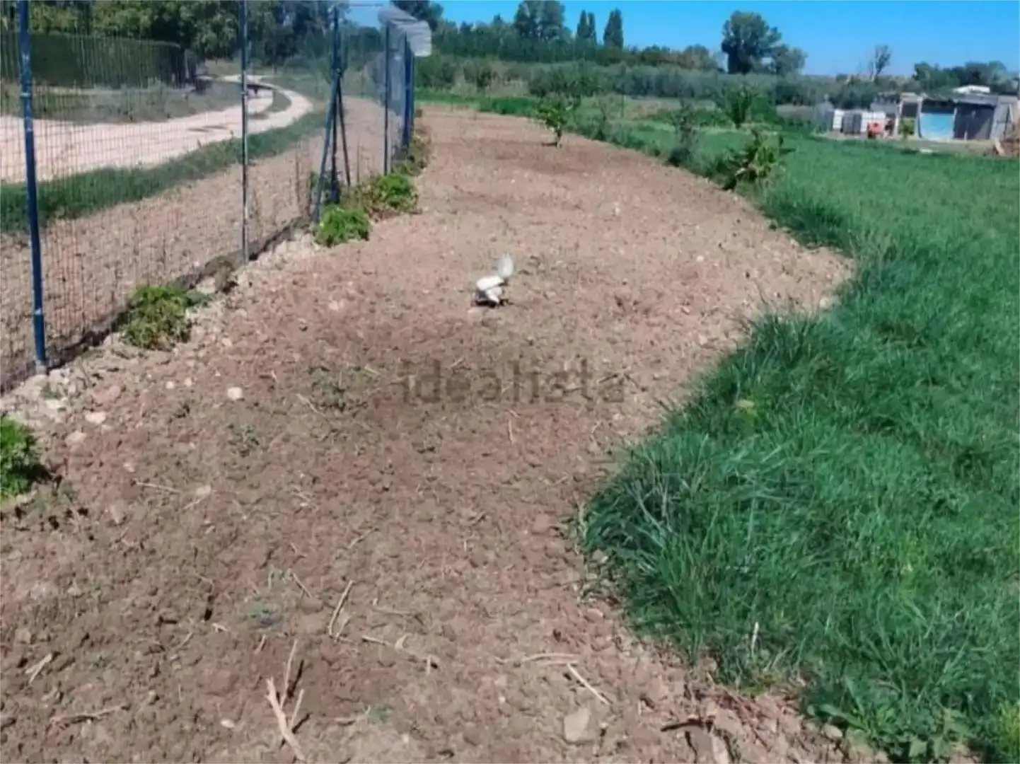 Land for sale in Lerín