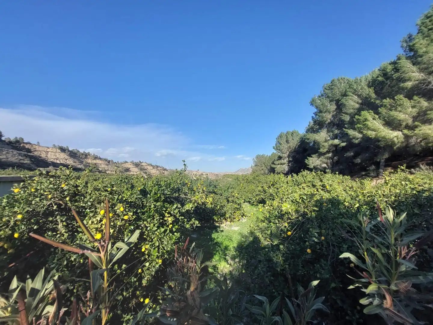 Terrenys i solars en venda a Camino Camino Cañada Umbría