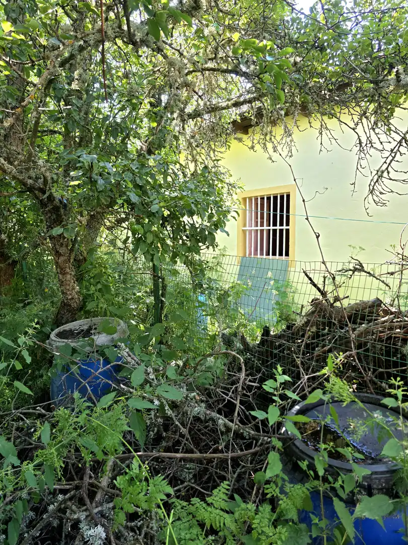Vista exterior de Casa o xalet en venda en Cervera de Pisuerga amb Calefacció i Jardí privat