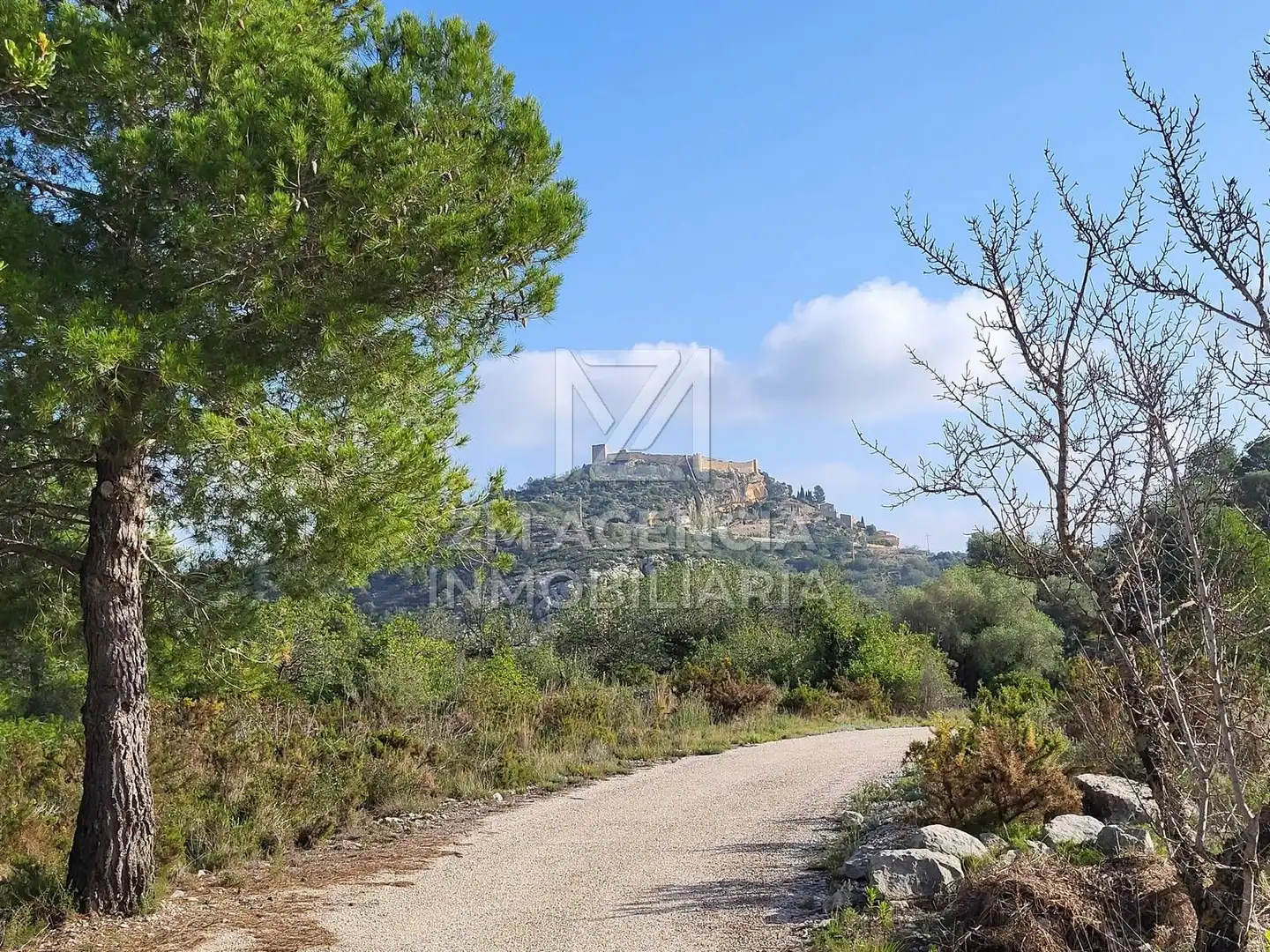 Rural land for sale in Cervera del Maestre, imagen 10
