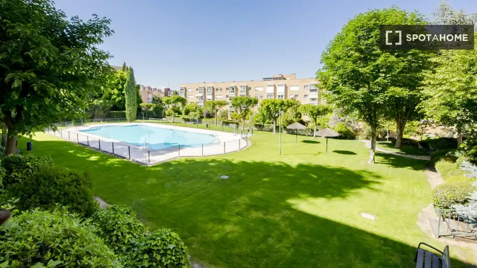 Swimming pool of Flat for rent in Madrid  with Air Conditioner, Heating and Furnished