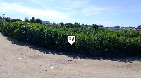 Photo 4 of Residential for sale in El Palmar, Vejer de la Frontera