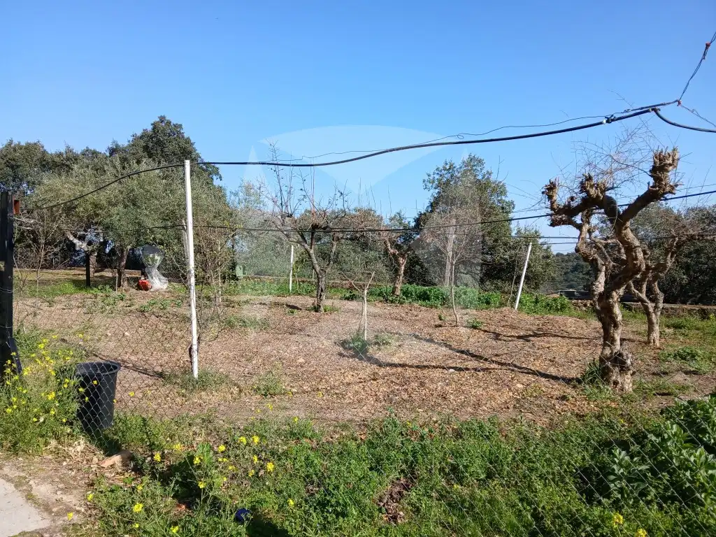 Casa o xalet en venda en Cáceres amb Aire condicionat, Terrassa i Piscina