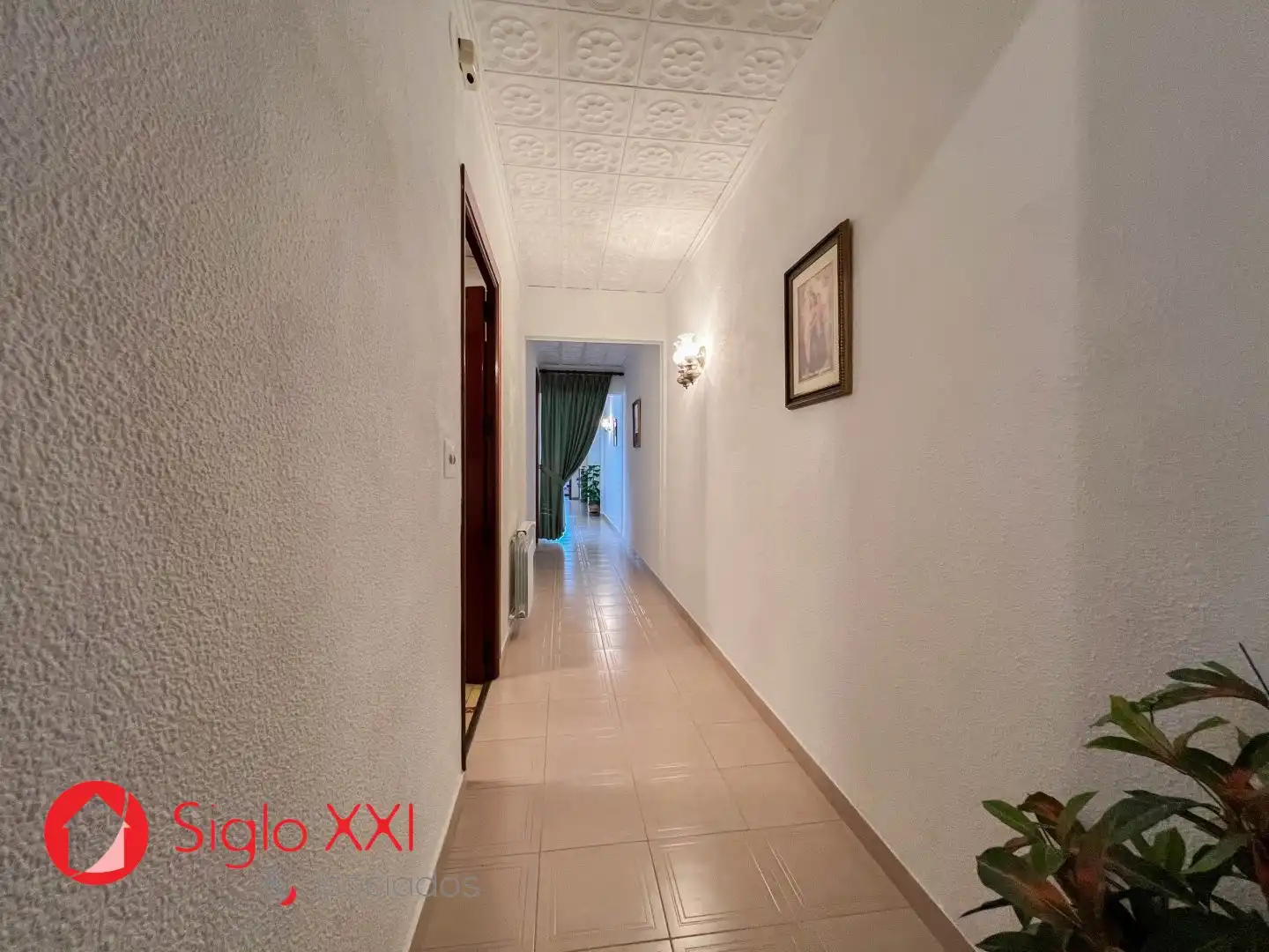 House with terrace for sale in El Pilar, imagen 21