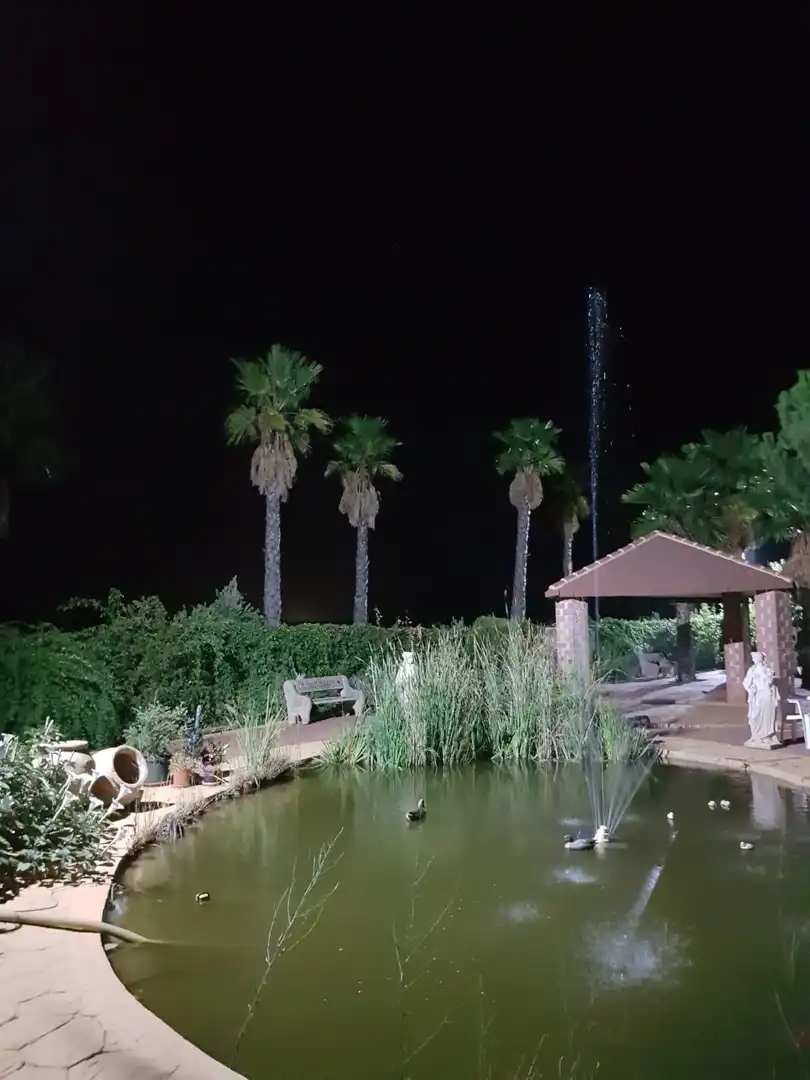 Finca rústica en venta en Santa Cruz de Mudela