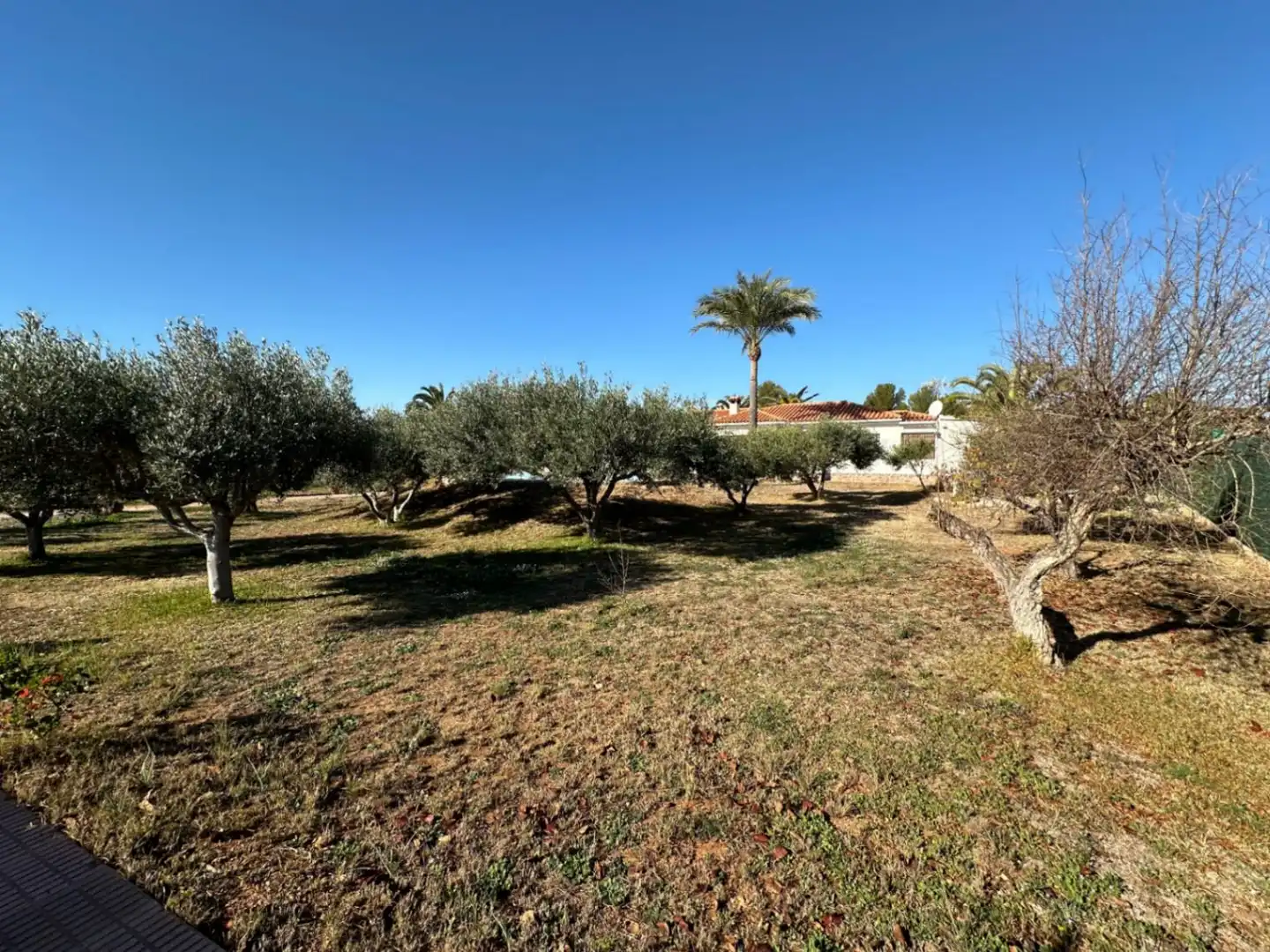 Villa mit Pool zum Verkauf in Alcossebre, imagen 5