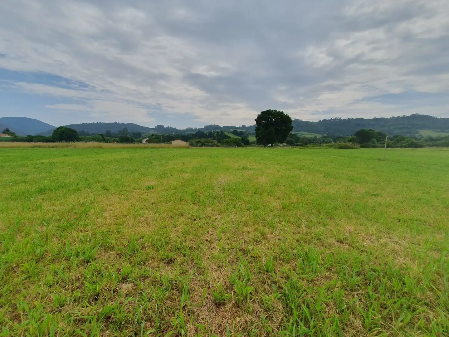 Finca rústica en venta en San Martín de Oscos