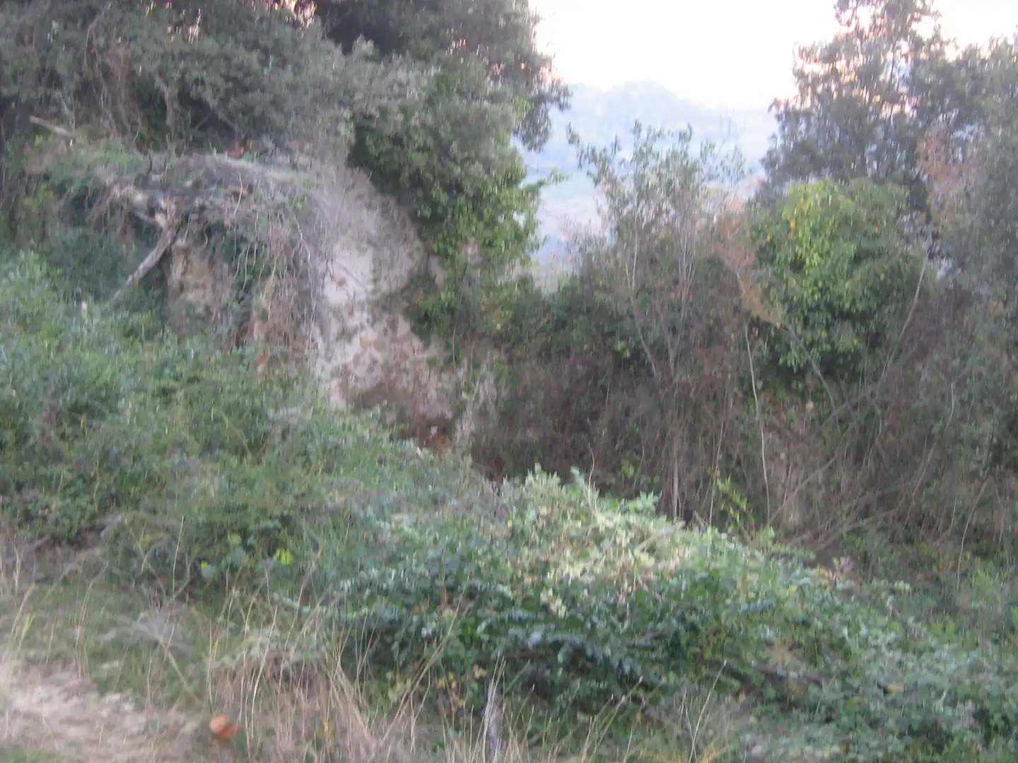 Rural land for sale in Montagut i Oix, imagen 17