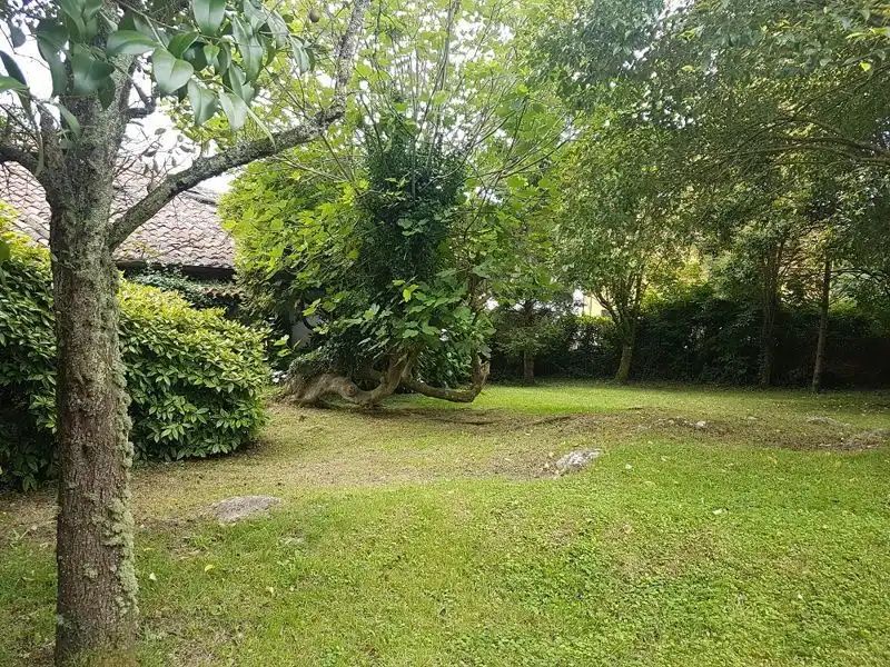 House with terrace for sale in Bricia, imagen 12