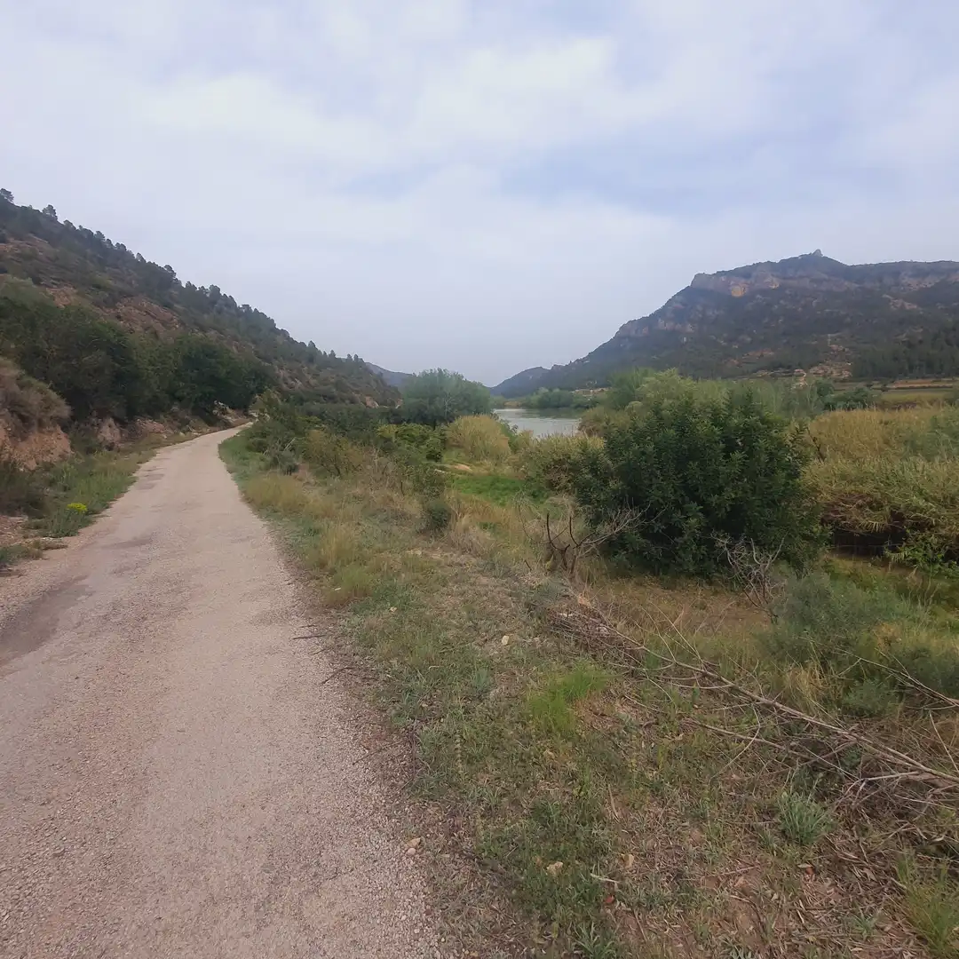 Terrain rustique à vendre à Benifallet, imagen 5