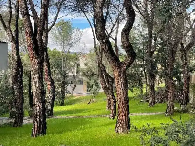 Vista exterior de Casa o xalet en venda en Las Rozas de Madrid amb Piscina