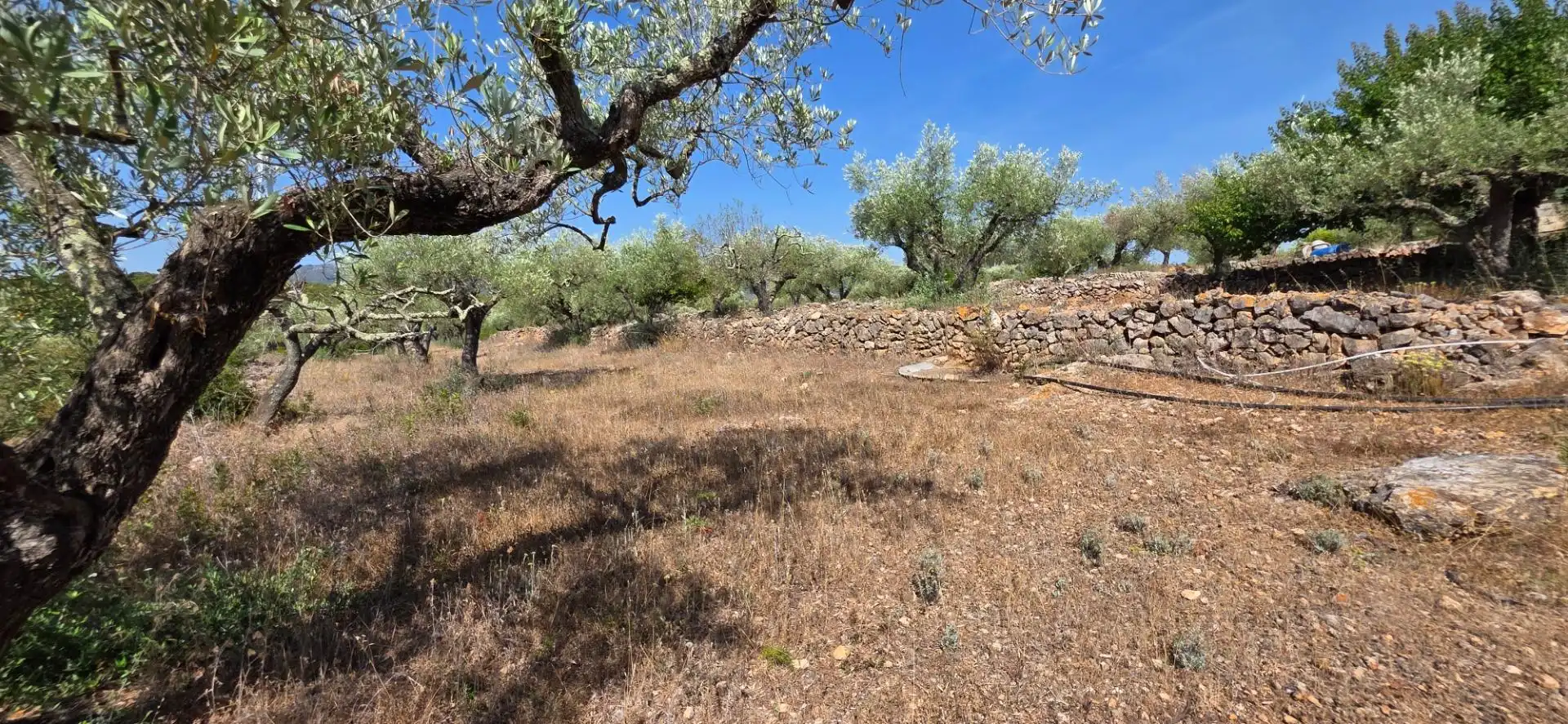 Casa rustica con piscina in vendita a El Perelló, imagen 44