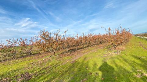 Foto 4 de Terreny en venda a N/a, Alagón del Río, Cáceres