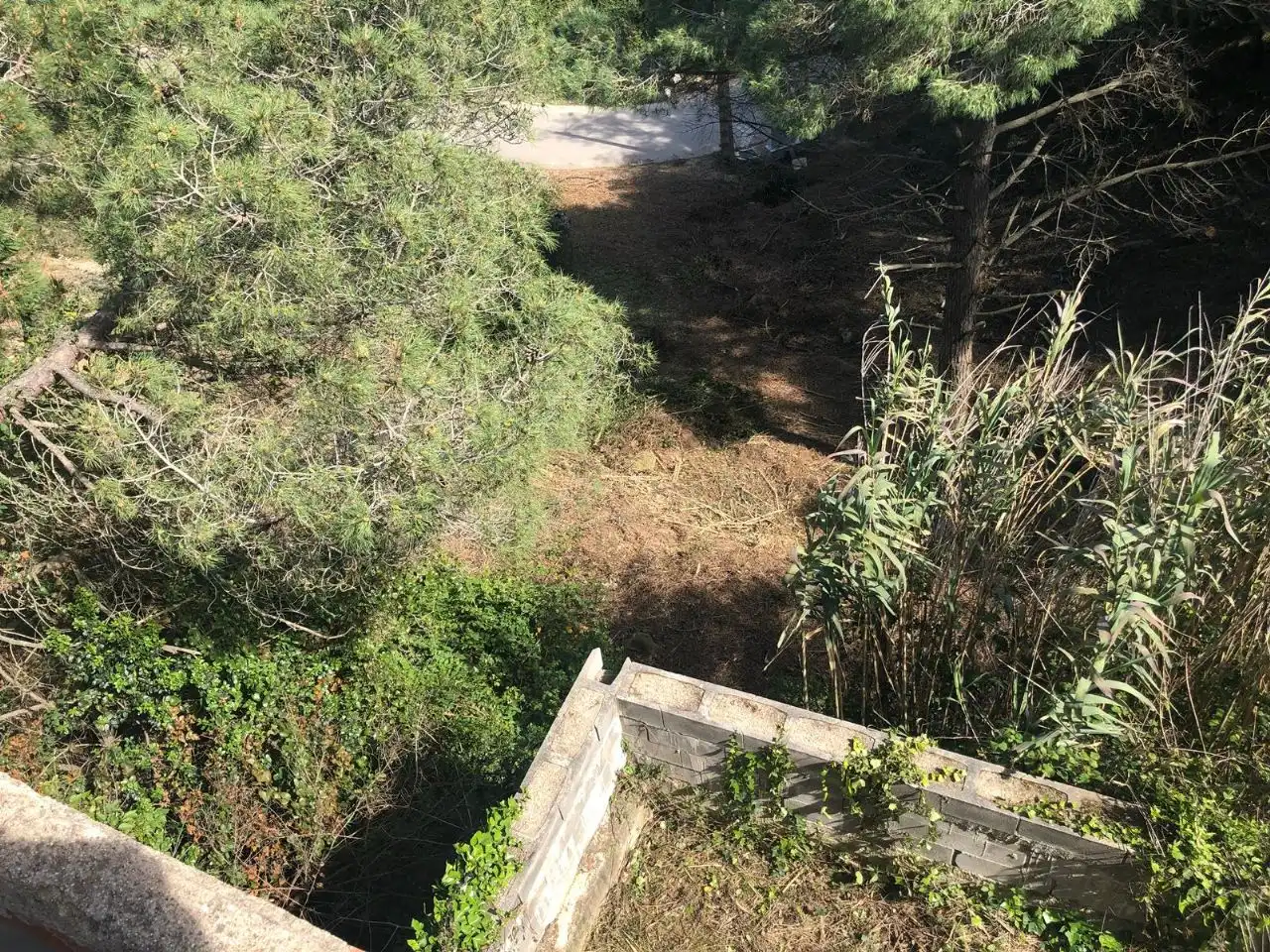 Lands and plots for sale in AVDA CIVILIZACIONES, imagen 2