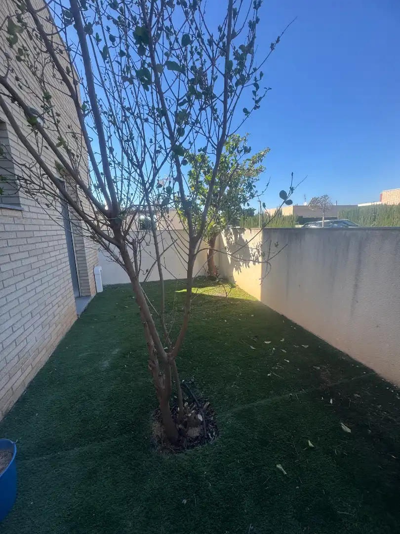 Jardí de Planta baixa en venda en L'Ampolla amb Aire condicionat, Calefacció i Forn