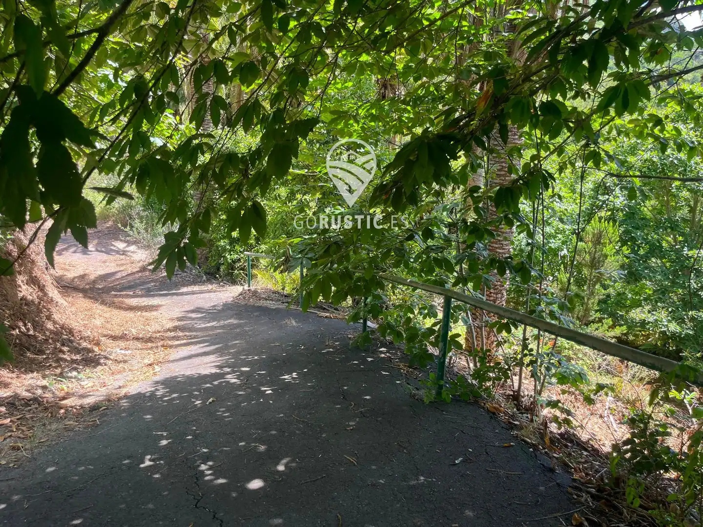 Terreno rústico en venta en Cruz de Tierno, Pol 2; Parc. 344 y 10344, imagen 25