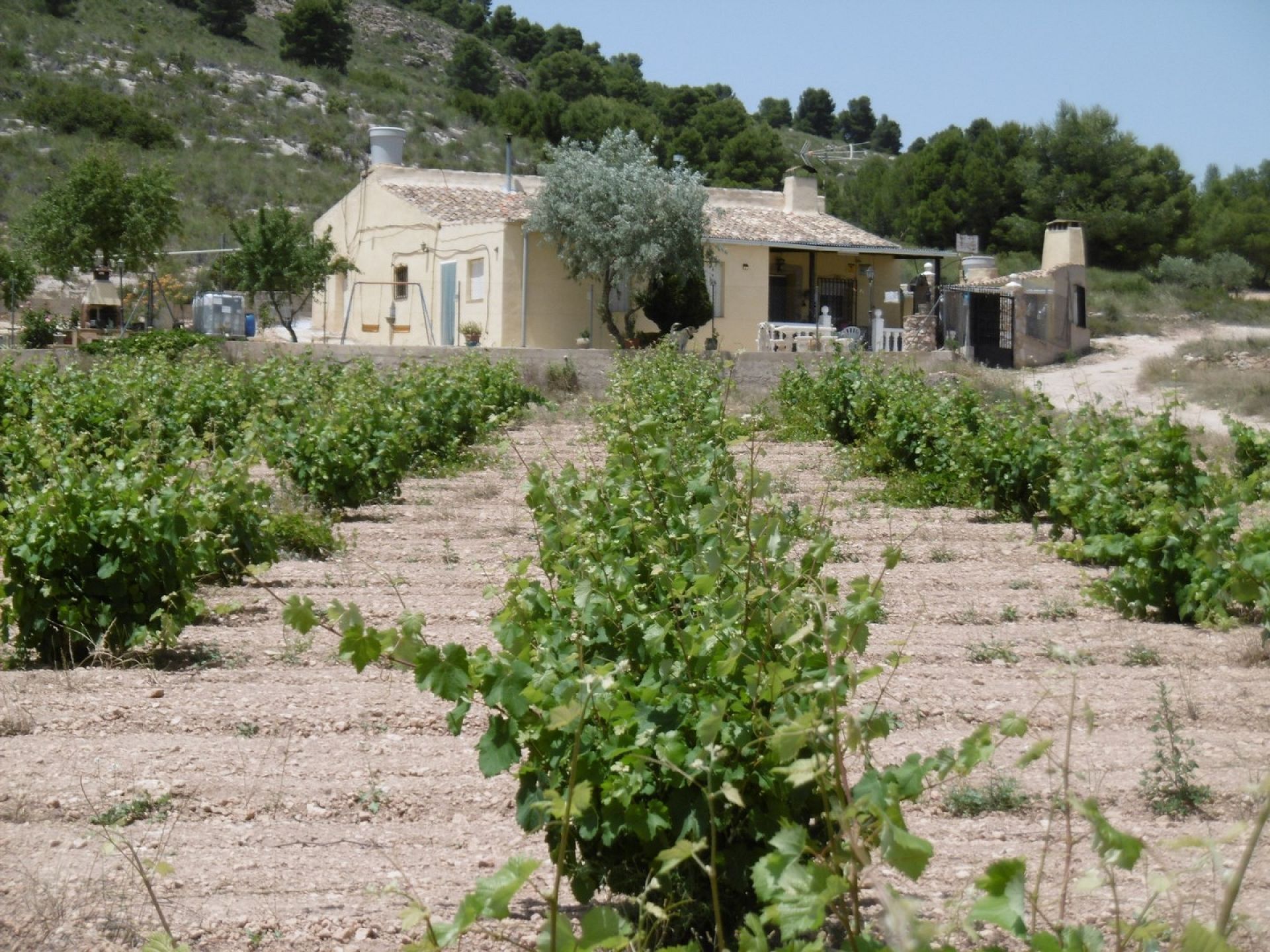 Exterior view of Country house for sale in Yecla  with Terrace