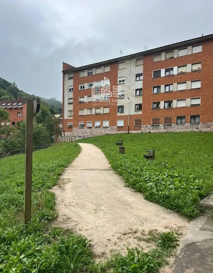 Vista exterior de Piso en venta en Riosa