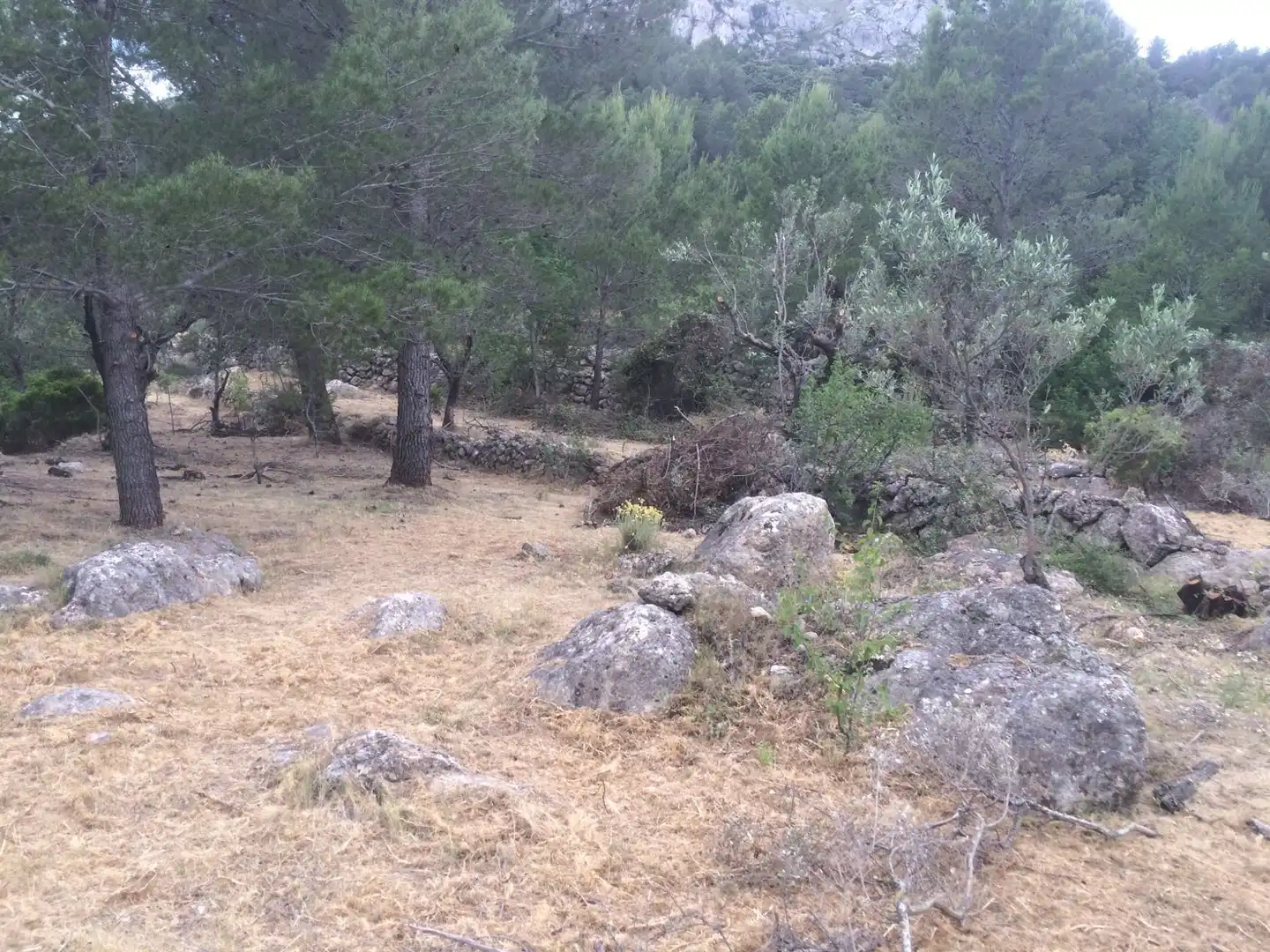 Terreny residencial en venda a La Vall de Laguar, imagen 6