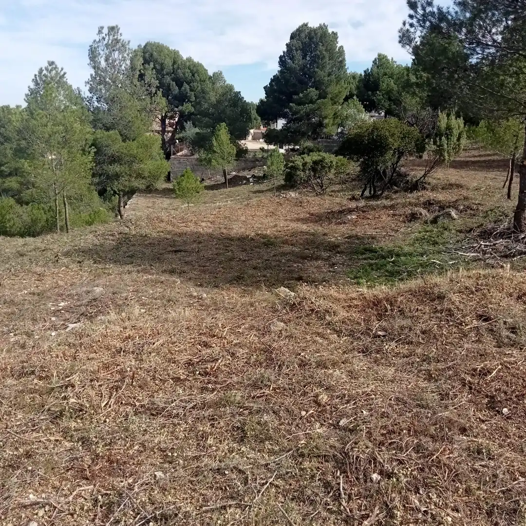 Terreni e lotti in vendita a Godelleta, imagen 11