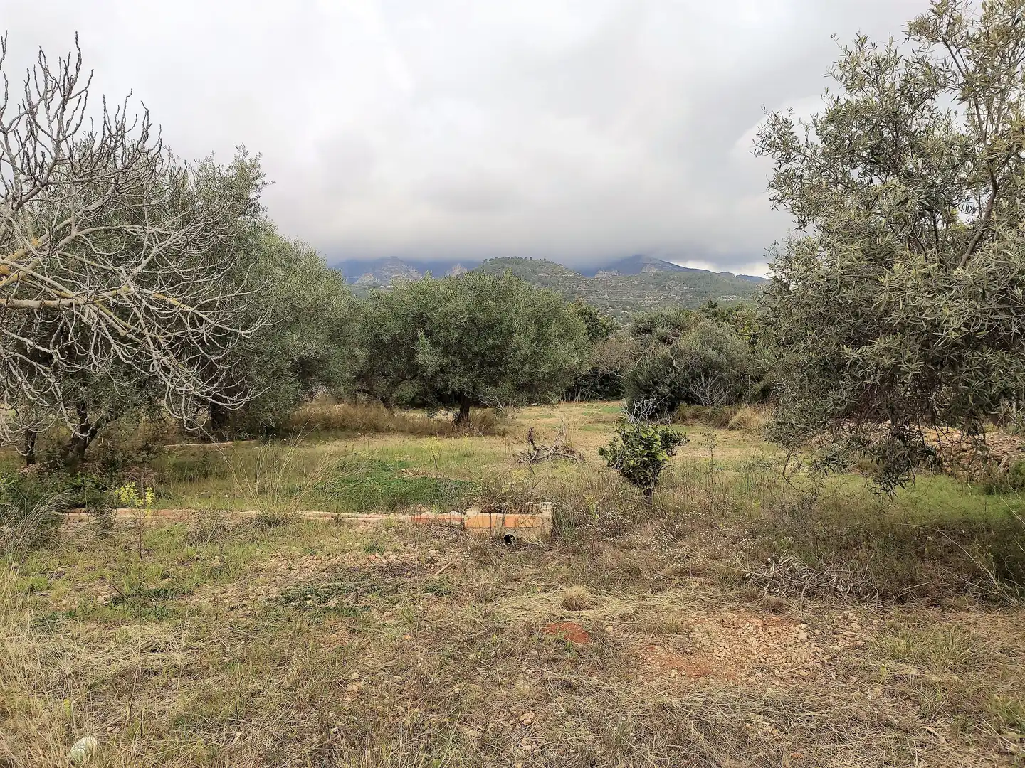 Terrain rustique à vendre à Alcanar, imagen 9