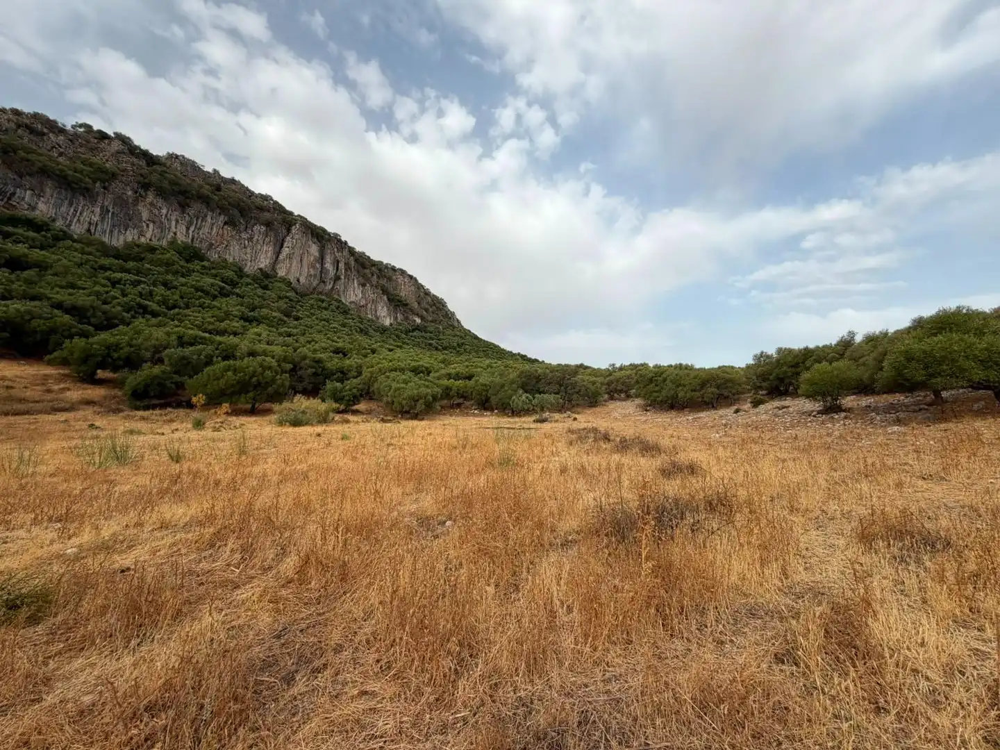 Rural land for sale in Morón de la Frontera, imagen 11