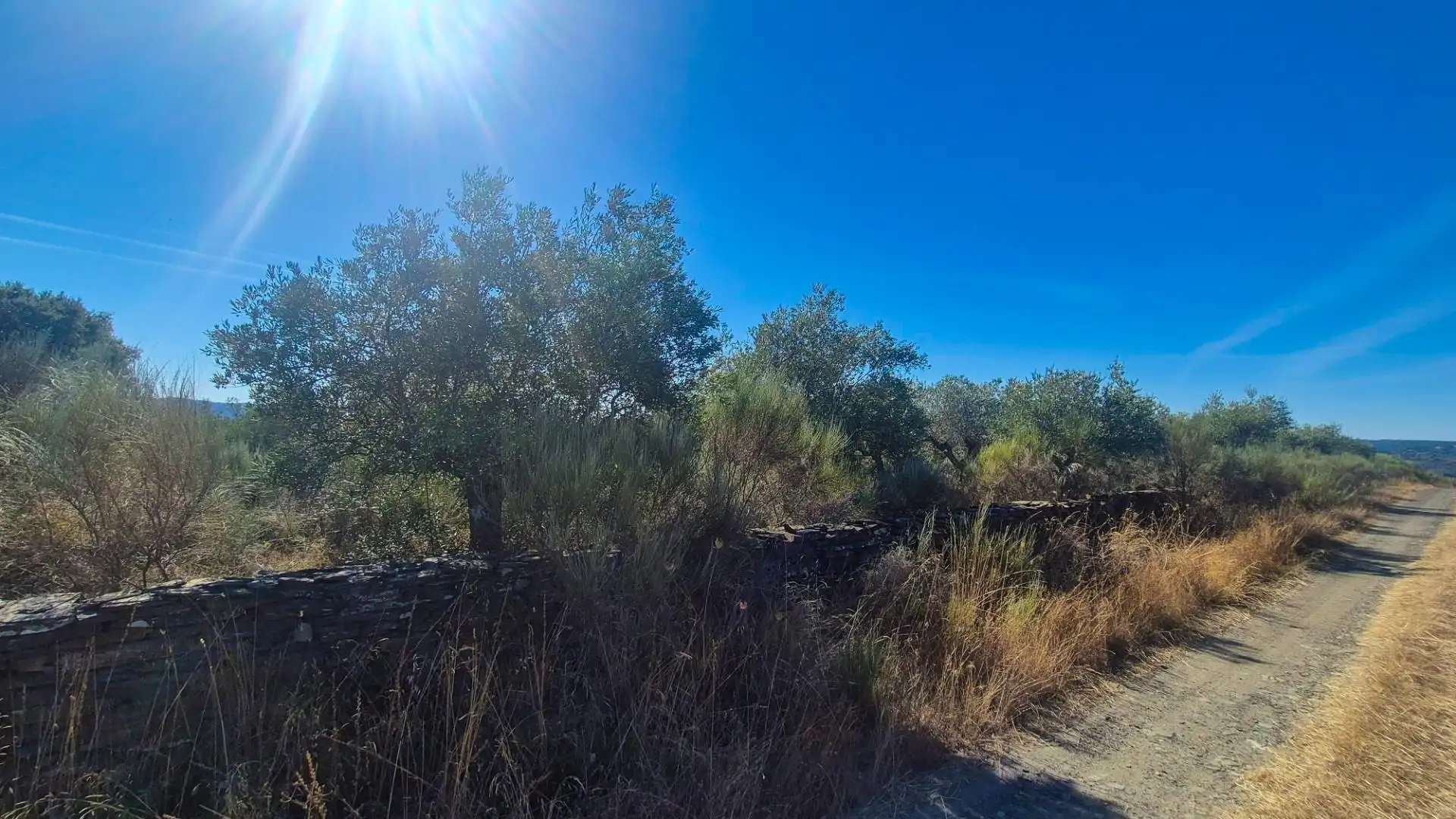Land for sale in Ahigal de los Aceiteros, Salamanca