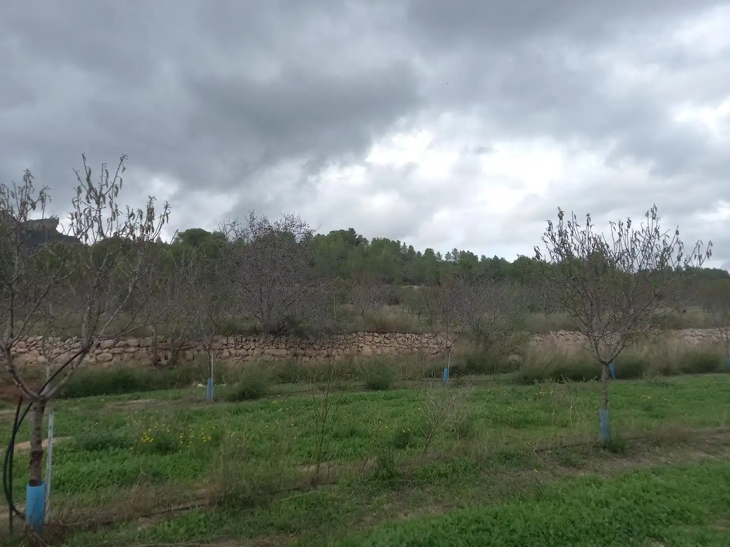 Rural land for sale in El Pinell de Brai, imagen 10