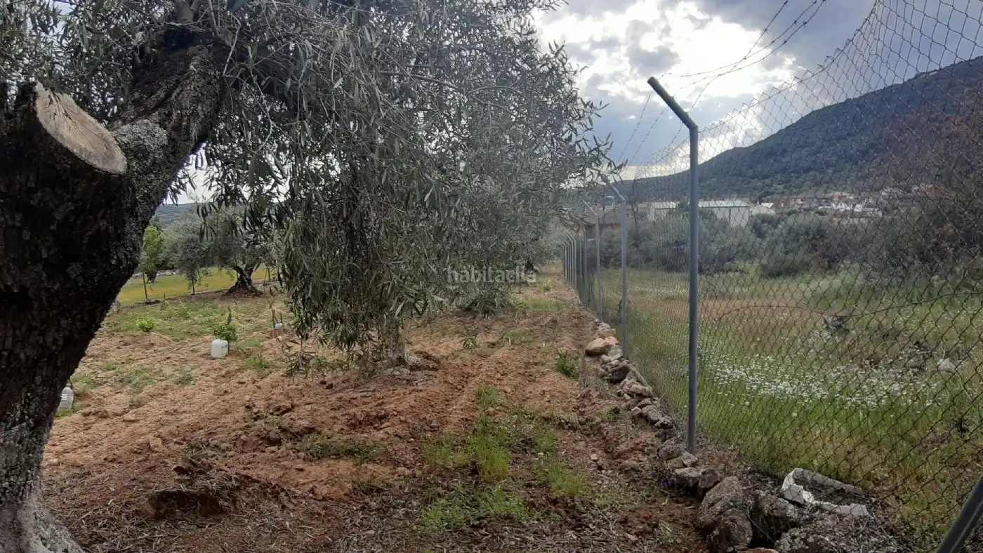 Wohnbaugrundstück zum Verkauf in Calle Pera Pere 6, imagen 7