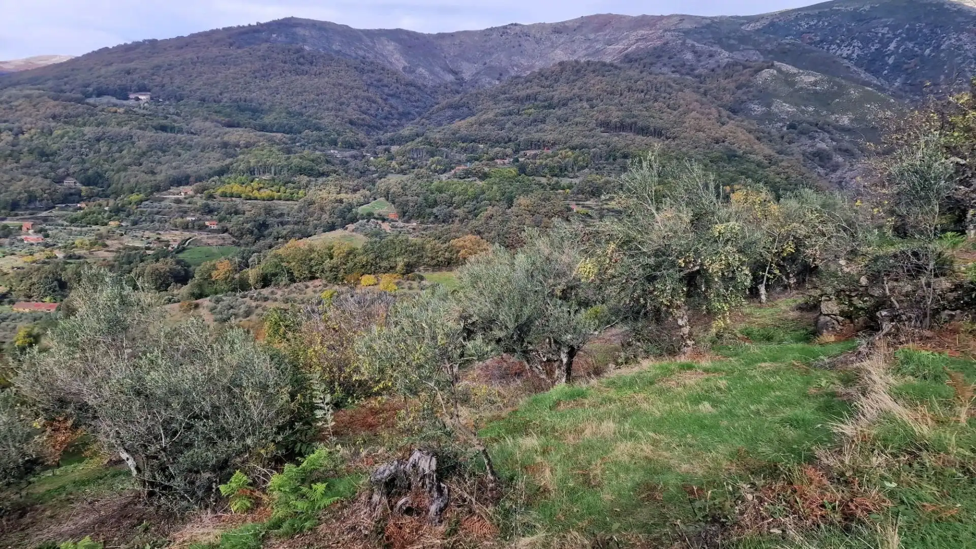 Terreno en venta en Guijo de Santa Bárbara