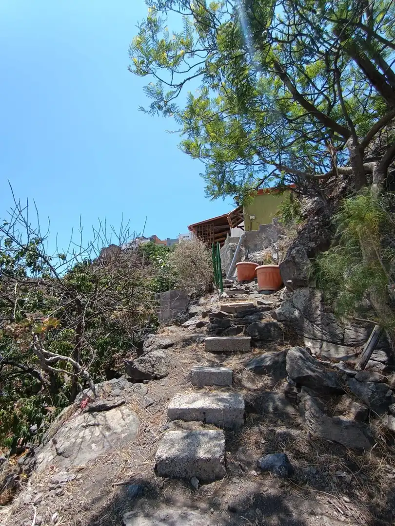 Vista exterior de Finca rústica en venta en Valsequillo de Gran Canaria con Terraza