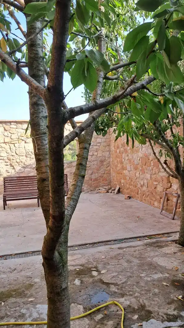 Terrassa de Finca rústica en venda en Els Omells de na Gaia amb Balcó