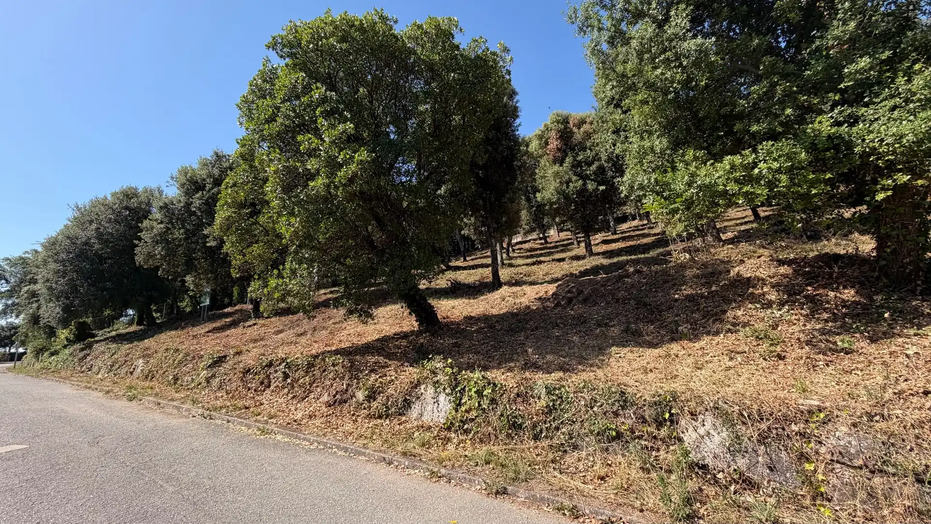 Terreno residencial en venta en Arbúcies, imagen 5
