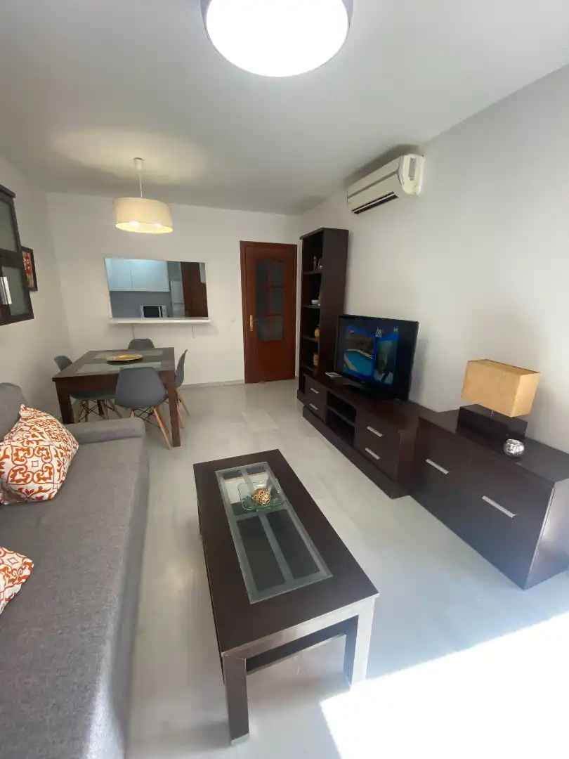 Living room of Apartments for rent in Málaga  with Air Conditioner, Terrace and Furnished
