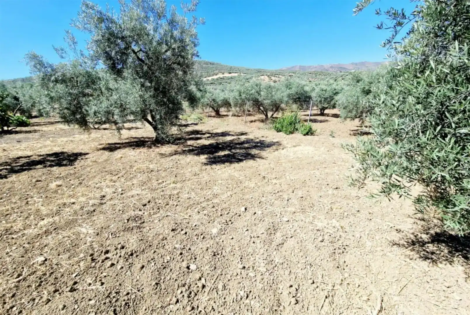 Casa o chalet de alquiler en Riogordo con Jardín privado