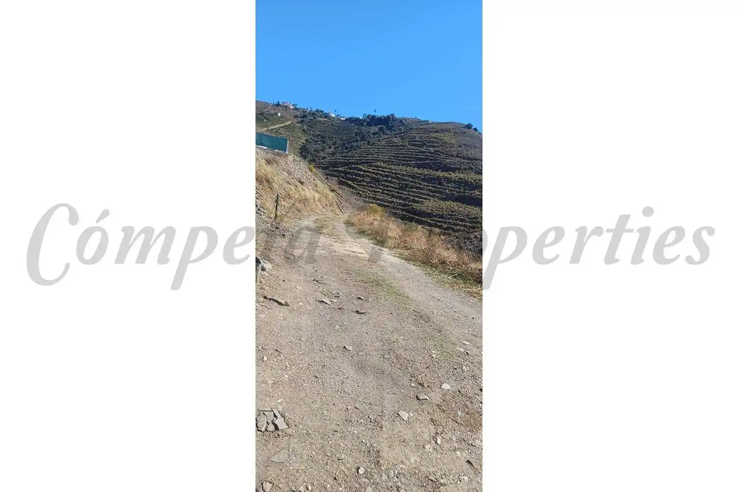 Terreno rustico in vendita a El Morche, imagen 4