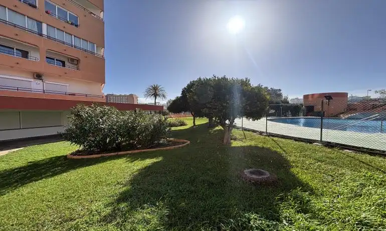 Studio avec piscine à vendre à Santa Margarita, imagen 12