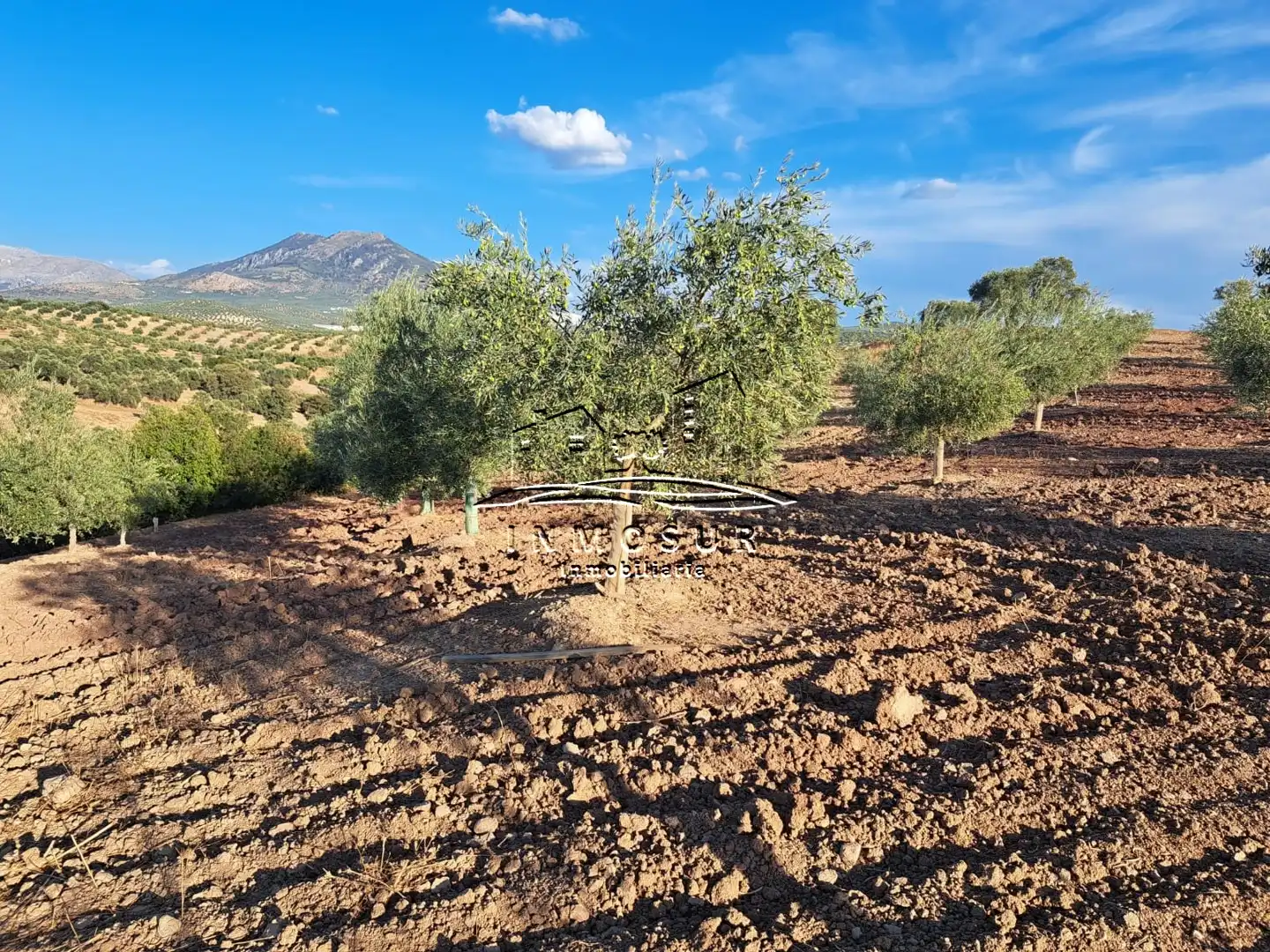 Terrain rustique à vendre à Las Vegas - Campoaras