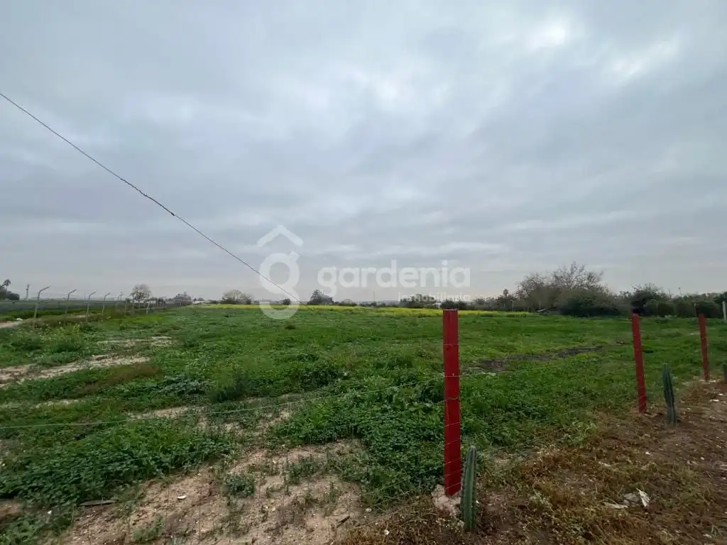 Terrenys i solars en venda a Sus-Dmn-04 Aeropuerto Vij