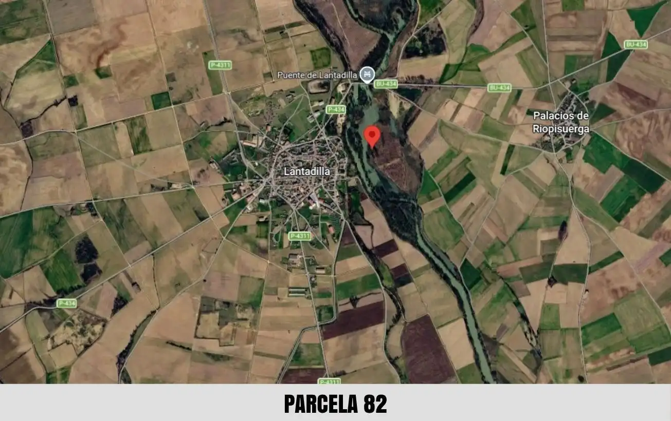 Terreno en venta en Palacios de Riopisuerga