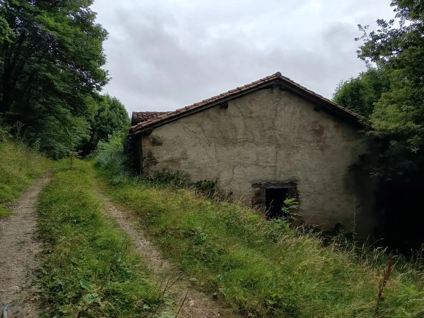 Land for sale in Basaburua
