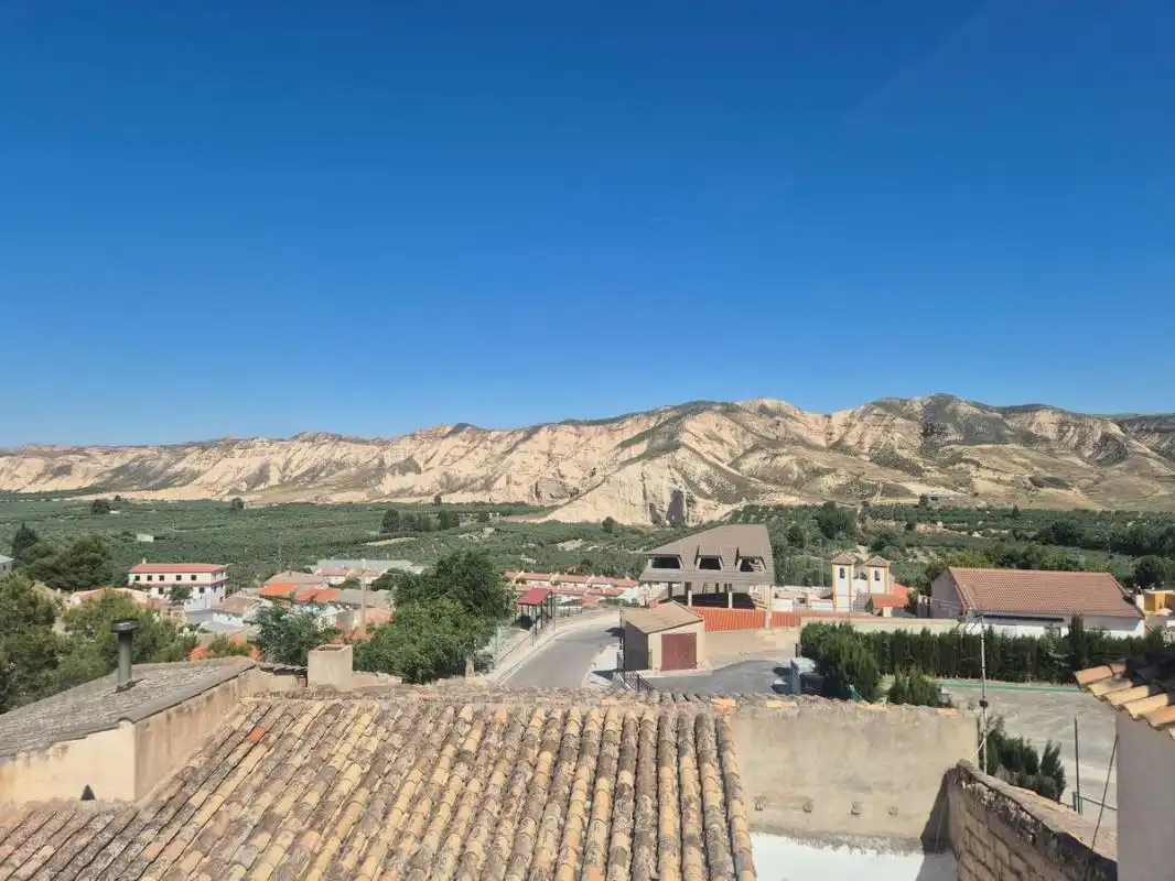 Maison avec terrasse à vendre à Carretera de Pedro Martínez, imagen 44