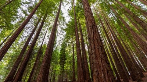 Photo 3 of Flat for sale in De la Piedrona, 1, Comillas (Cantabria), Cantabria