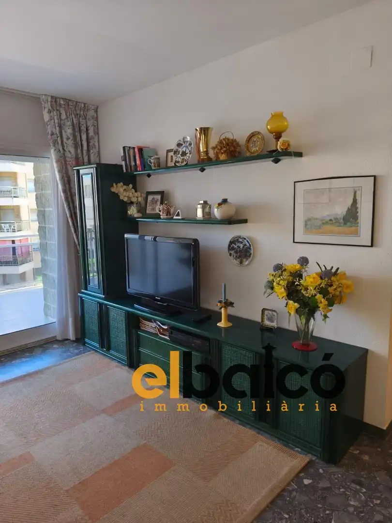 Flat for sale in Carrer d'Emili Vendrell, 4, La Pineda