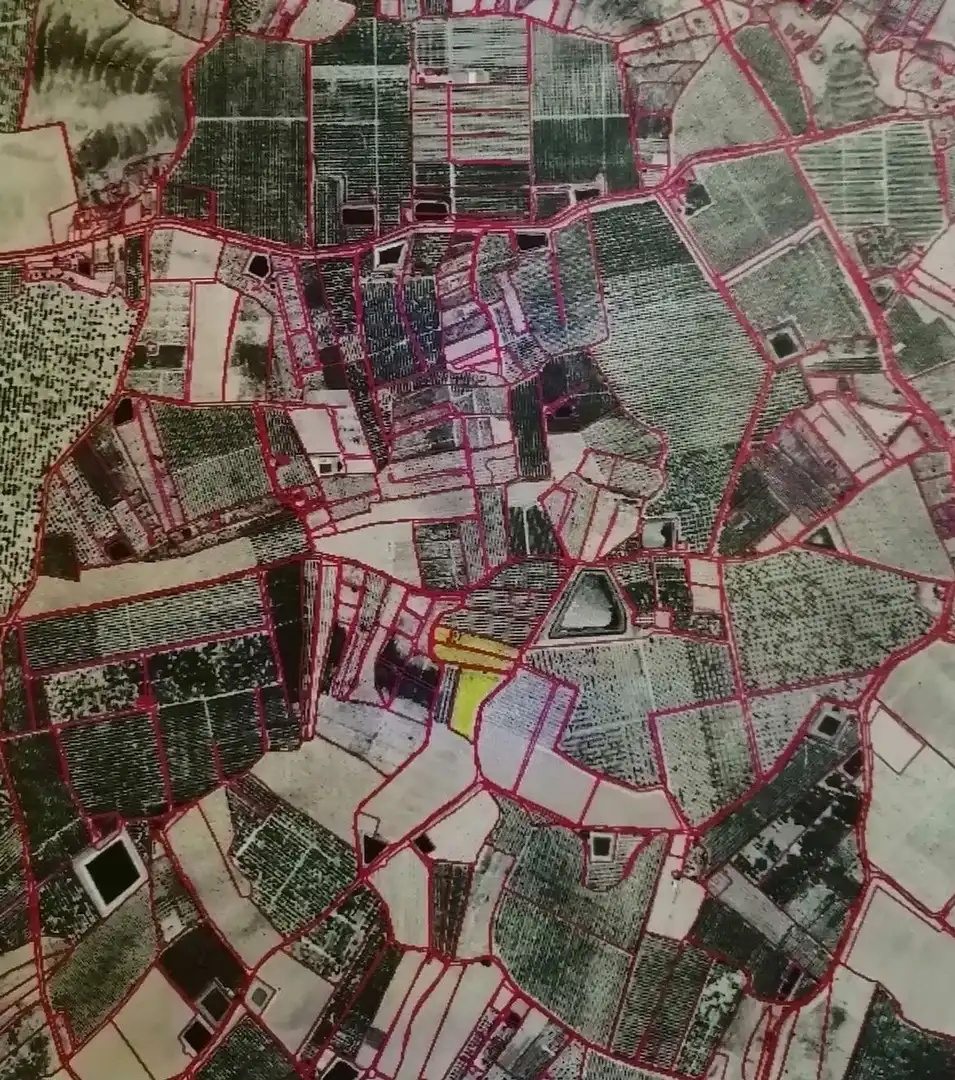 Land for sale in Ojós