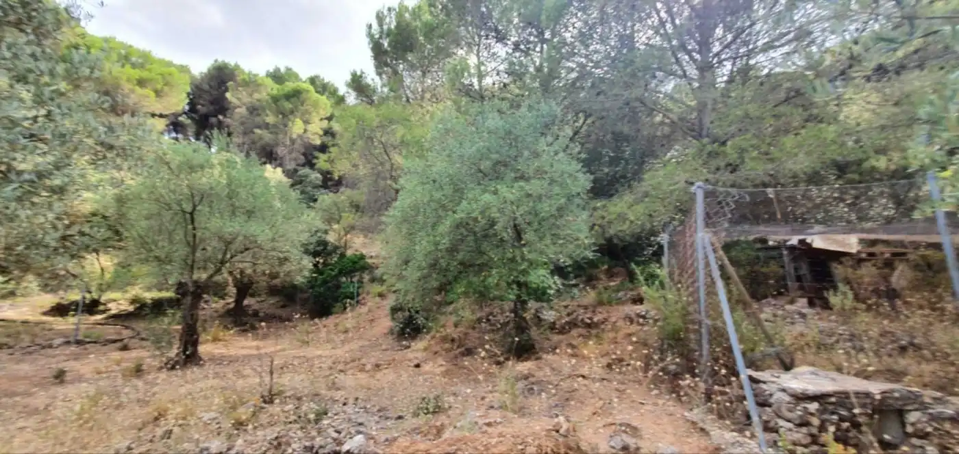 Terreni e lotti in vendita a Yunquera, imagen 24