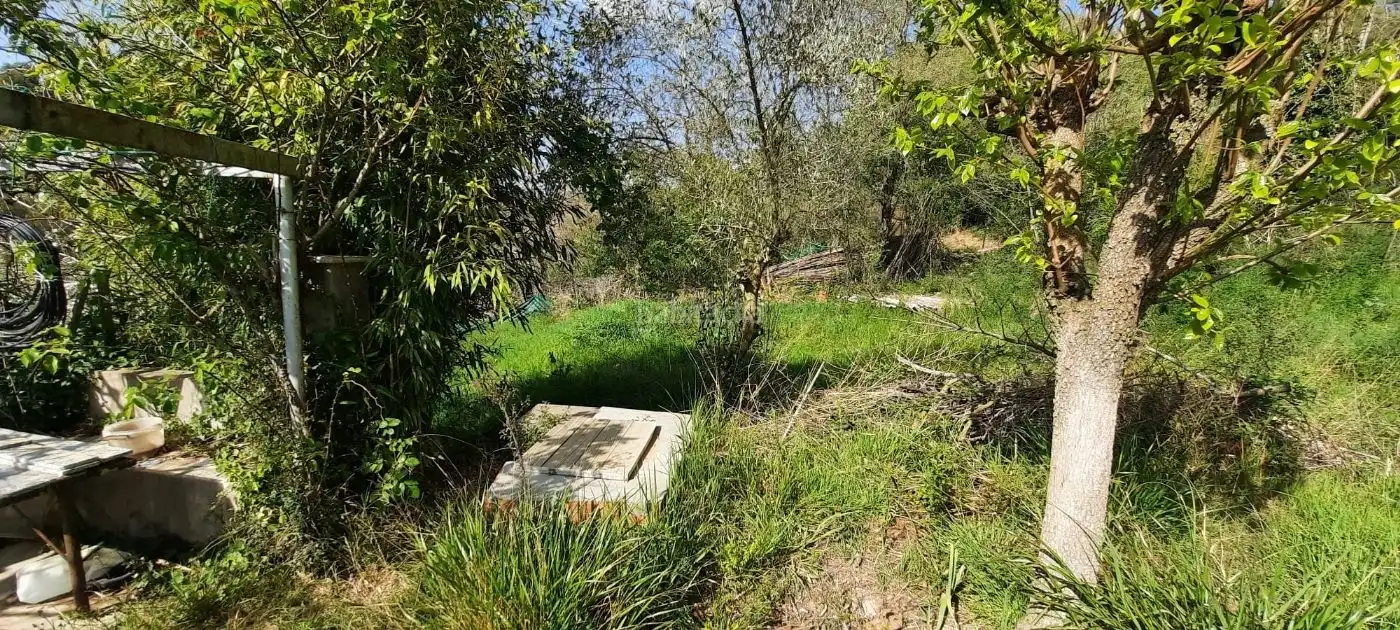 Terrain rustique à vendre à Carrer Martorell 115, imagen 7